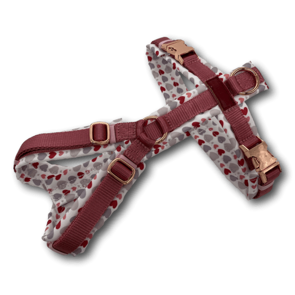 Y-Geschirr BT EasyWalk® Herzchen weiss - Beagletuff