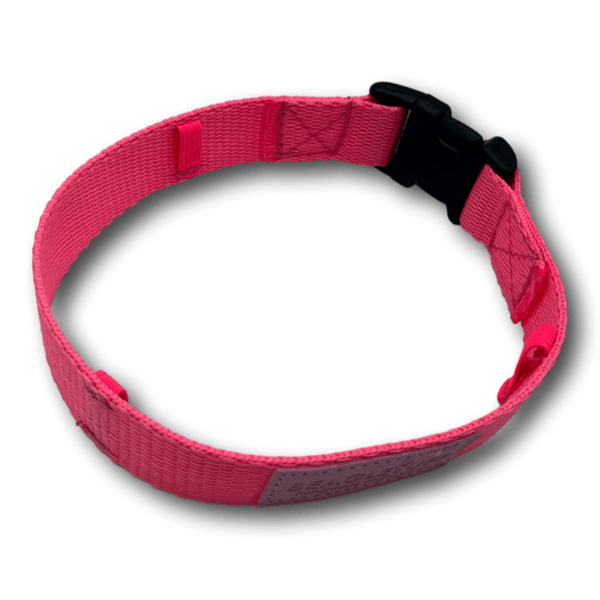 BT ZeckenShield - Halsband für Zeckenhalsband - Beagletuff