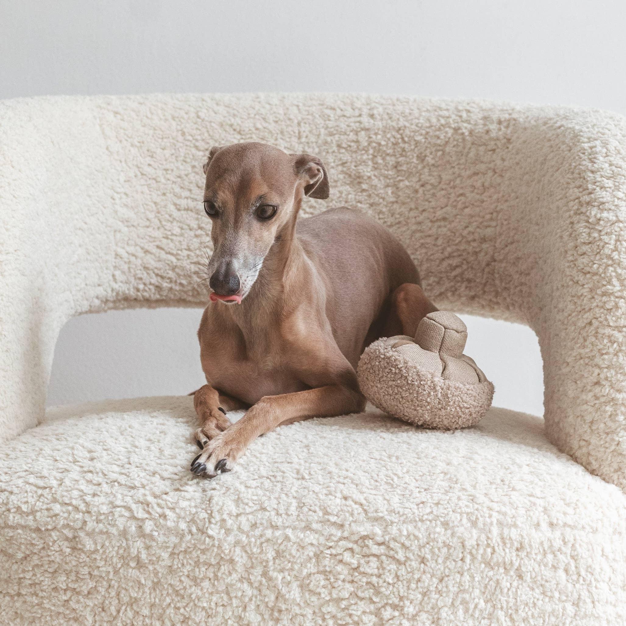 Lambwolf GUU Schnüffelpilz für erfahrene Suchhunde - Beagletuff