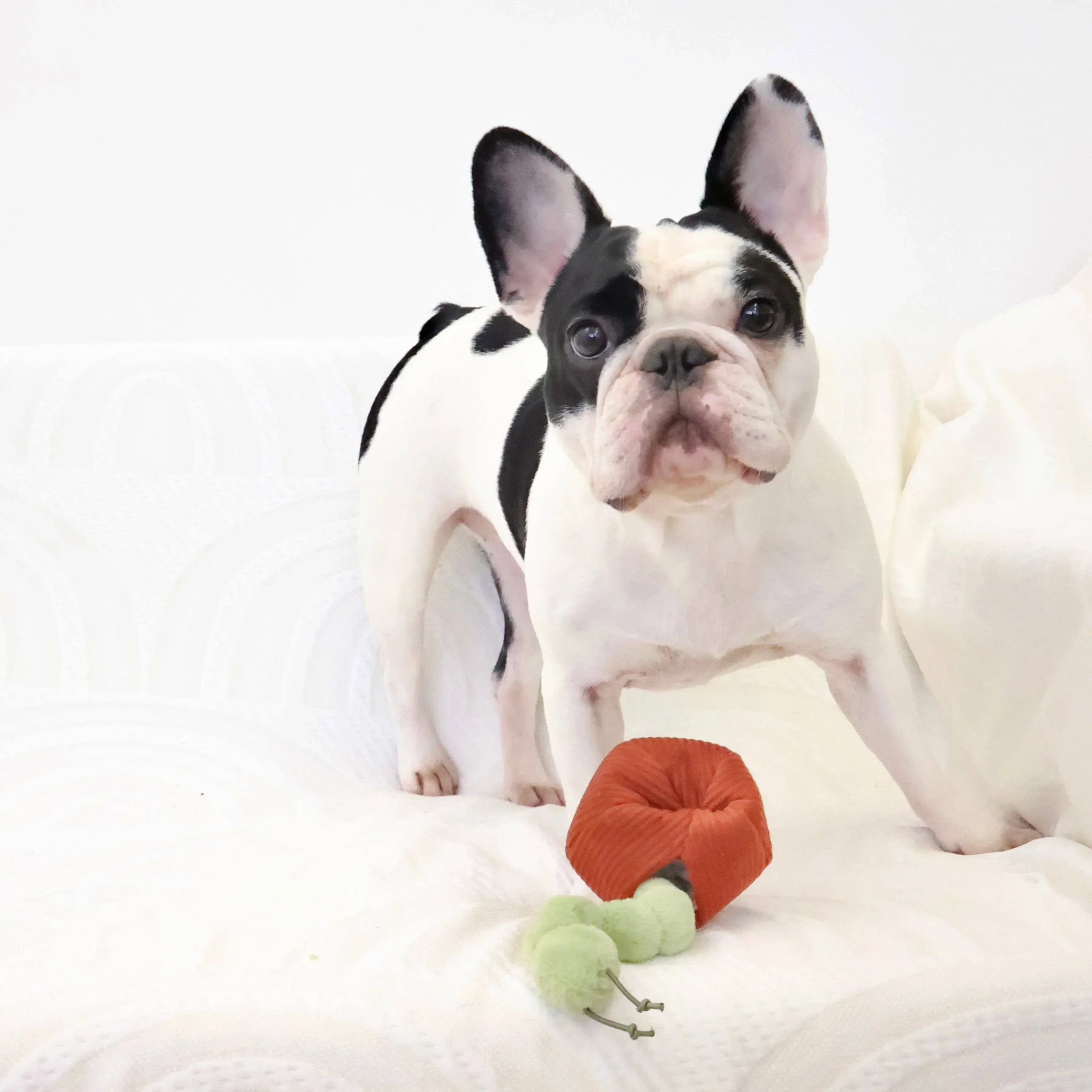 Lambwolf Apple Versteckspielzeug mit Raupe - Beagletuff
