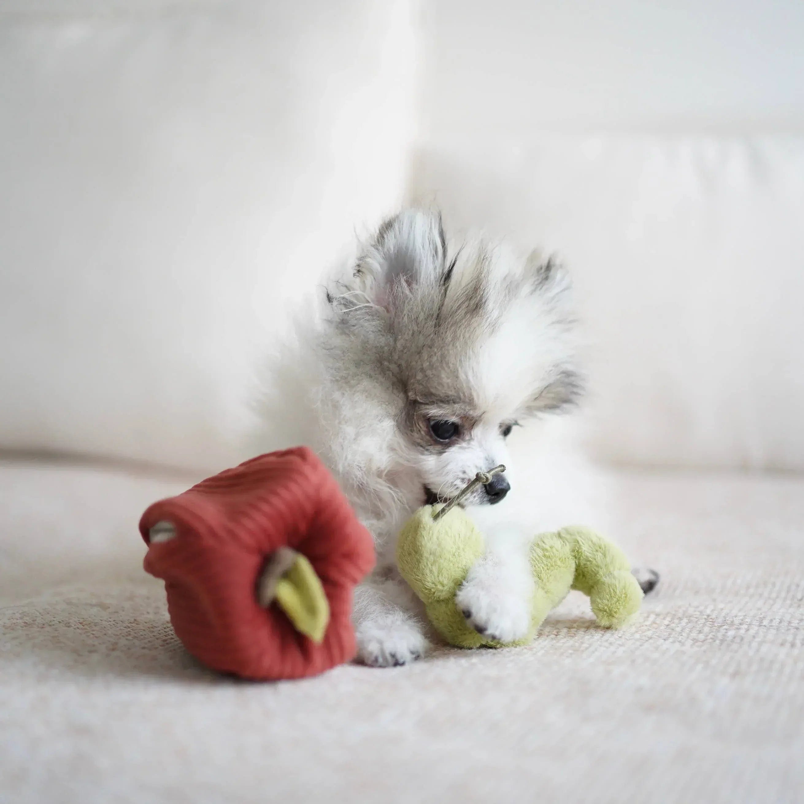Lambwolf Apple Versteckspielzeug mit Raupe - Beagletuff