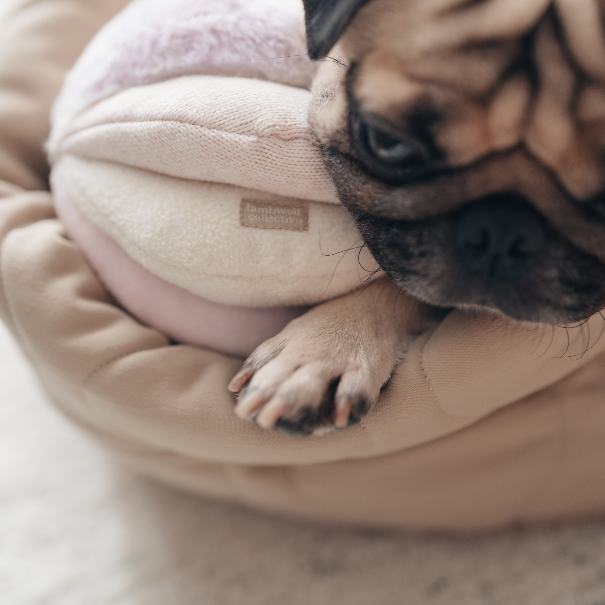 Lambwolf TOTO Schnüffelball für Nasenarbeit und Beschäftigung