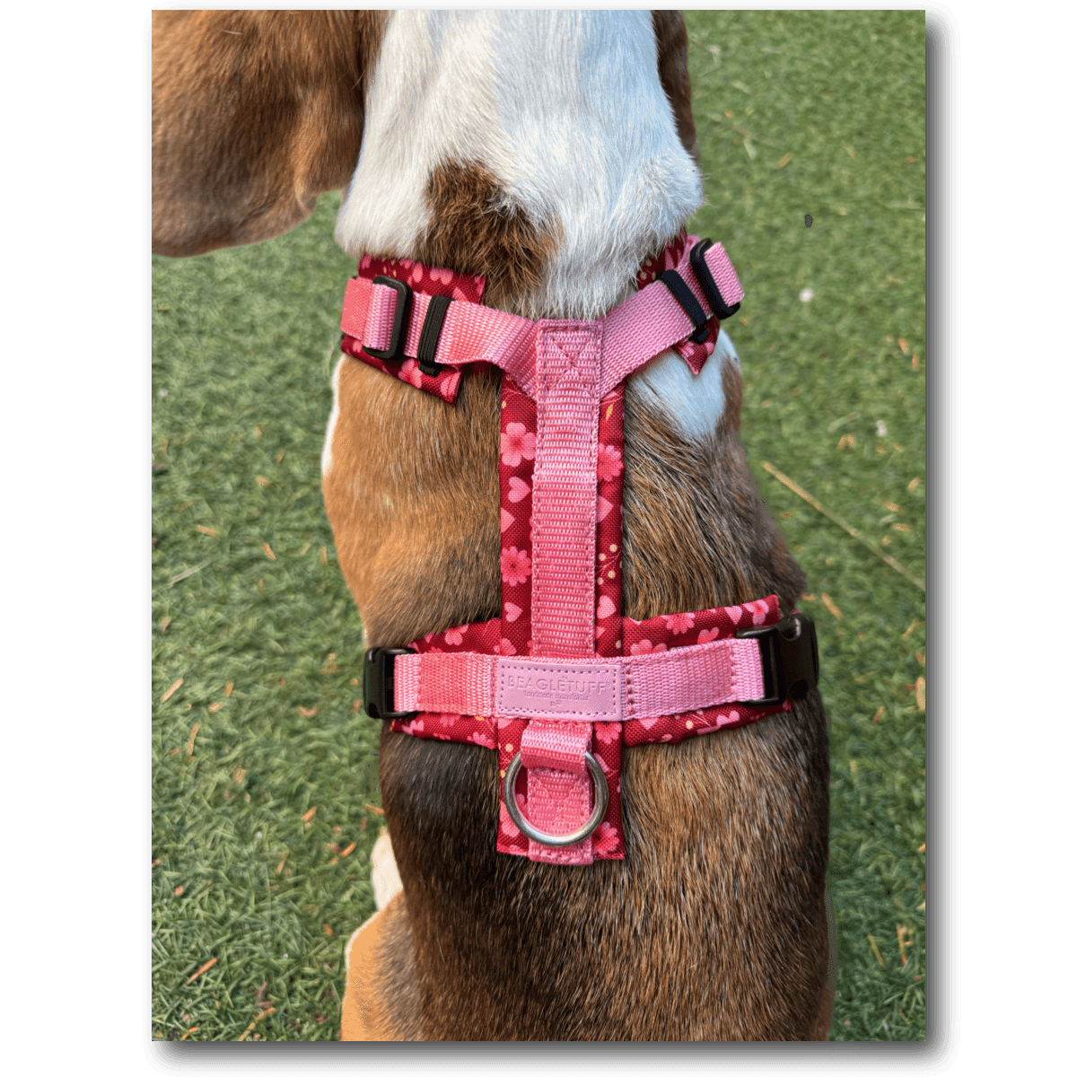 Y-Geschirr BT EasyWalk® Bloomina - Beagletuff