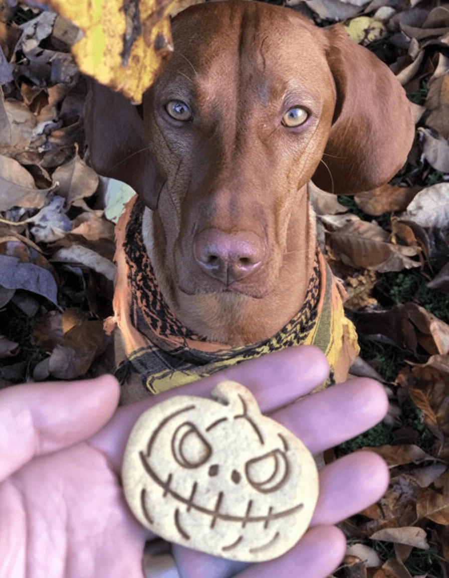 Baltic Biscuits Halloween Gang – Hundekekse Special Edition - Beagletuff