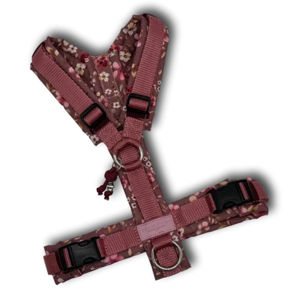Y-Geschirr BT EasyWalk® Edition Blütenzauber mauve - Beagletuff