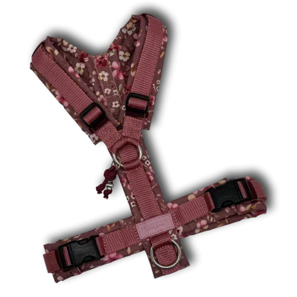 Y-Geschirr BT EasyWalk® Blütenzauber mauve Gr. M- Beagletuff