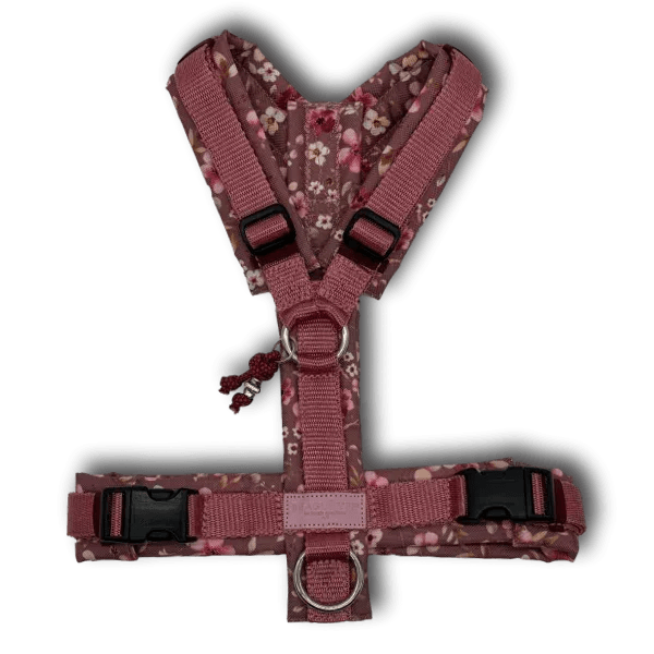 Y-Geschirr BT EasyWalk® Blütenzauber mauve Gr. S - Beagletuff