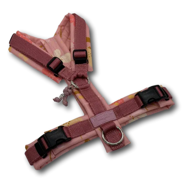 Y-Geschirr BT EasyWalk® Blumenwiese rosa Gr. S - Beagletuff