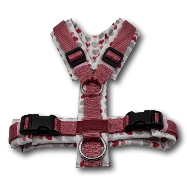 Y-Geschirr BT EasyWalk® altrosadunkel/Herzchen weiß - Beagletuff
