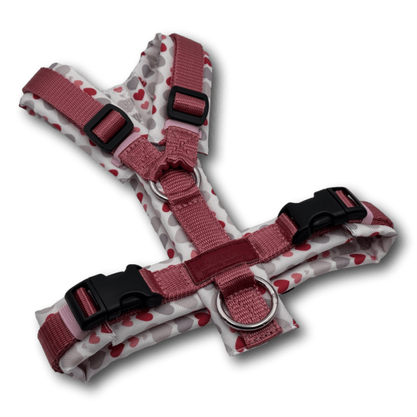Y-Geschirr BT EasyWalk® altrosadunkel/Herzchen weiß - Beagletuff