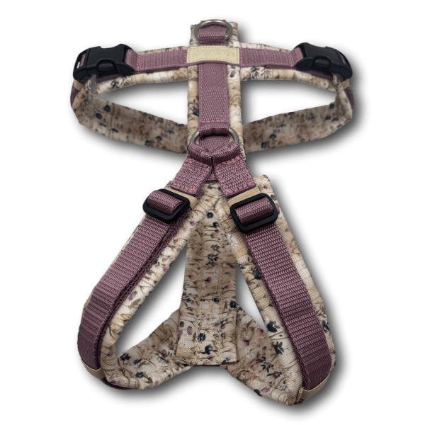 Y-Geschirr BT EasyWalk® Miniblumen beige altrosa - Beagletuff