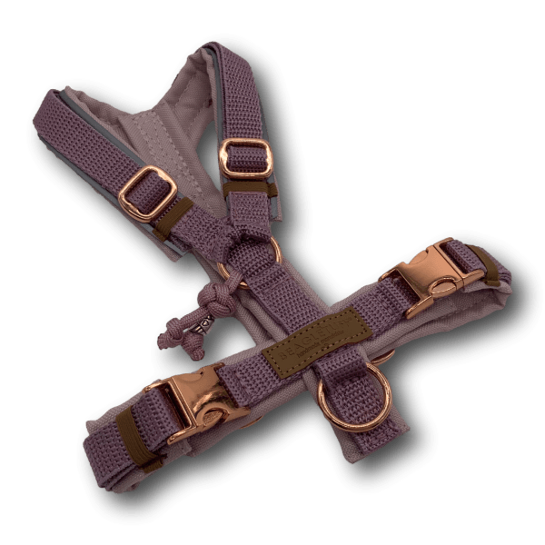 Y-Geschirr BT EasyWalk® Rosatraum Gr. XXS - Beagletuff