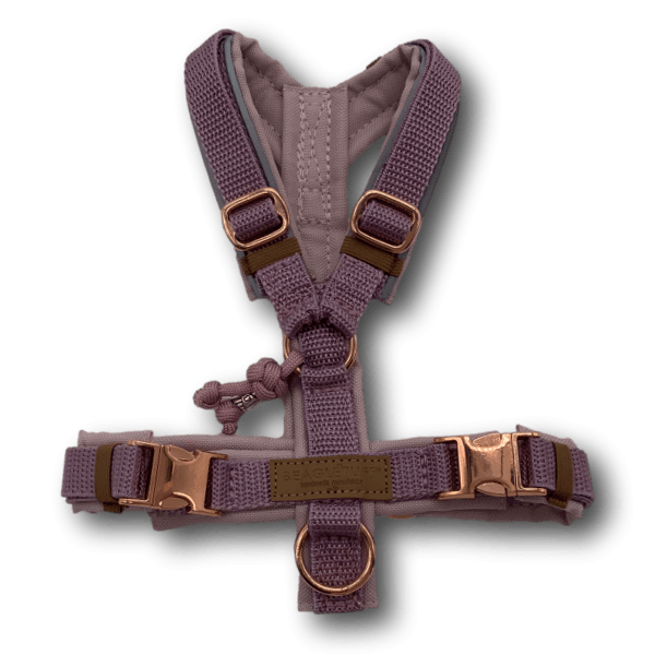 Y-Geschirr BT EasyWalk® Rosatraum Gr. XXS - Beagletuff