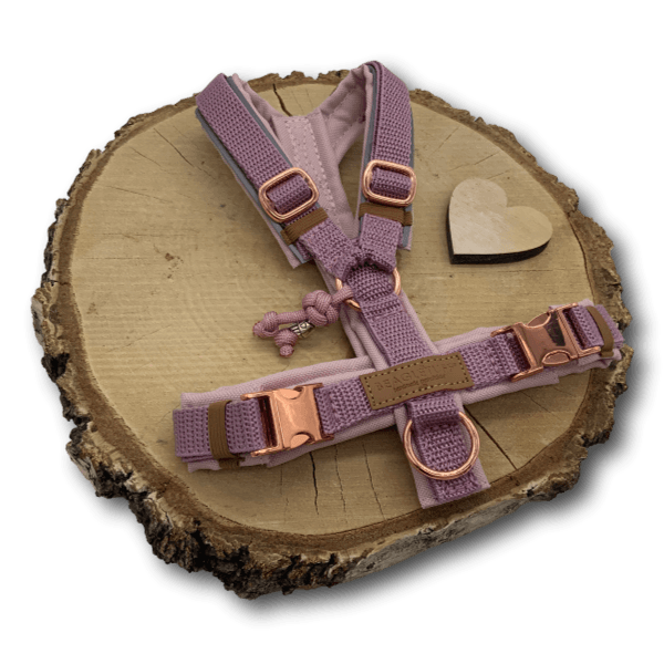 Y-Geschirr BT EasyWalk® Rosatraum Gr. XXS - Beagletuff