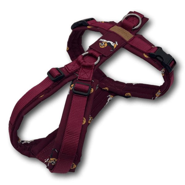 Y-Geschirr BT EasyWalk® Edition Beagle Ella bordeaux Gr. S - Beagletuff