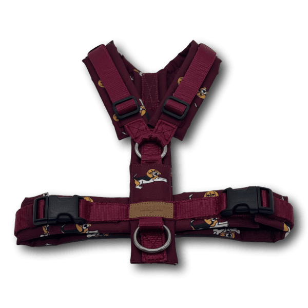 Y-Geschirr BT EasyWalk® Edition Beagle Ella bordeaux Gr. S - Beagletuff