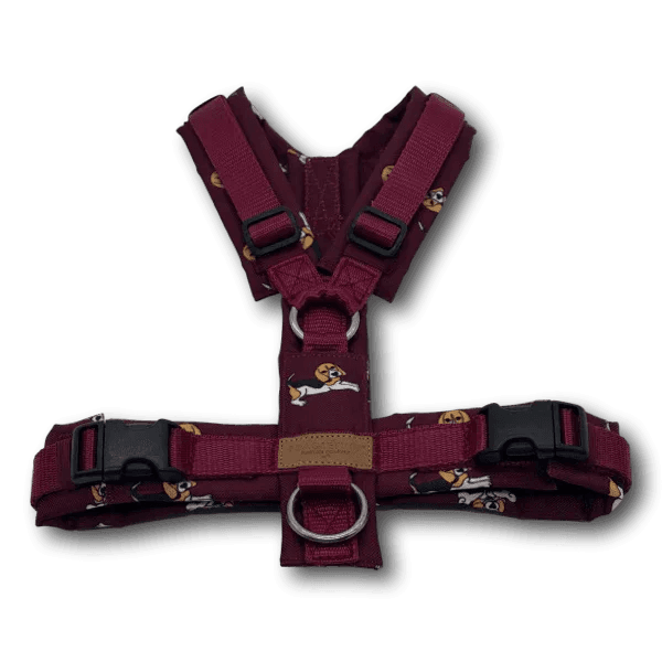 Y-Geschirr BT EasyWalk® Edition Beagle Ella bordeaux Gr. S - Beagletuff