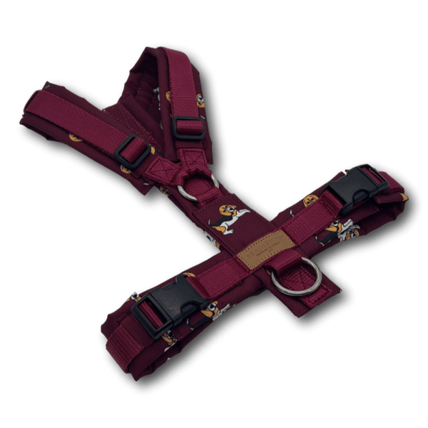 Y-Geschirr BT EasyWalk® Edition Beagle Ella bordeaux Gr. S - Beagletuff