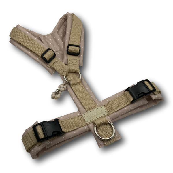 Y-Geschirr BT EasyWalk® Dots beige Gr. S Sofortkauf