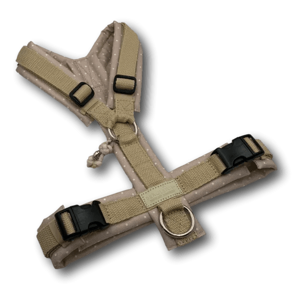Y-Geschirr Hund BT EasyWalk® Edition Dots Beige mit robustem Design und zarten Punkten