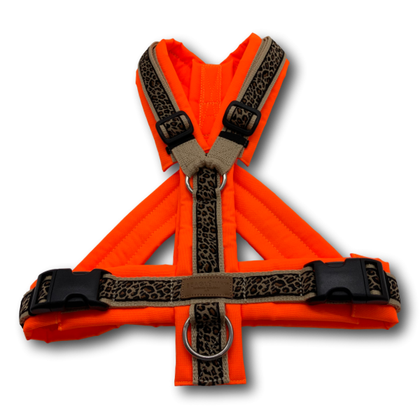 Y-Geschirr BT EasyWalk® Leoliebe beige neonorange