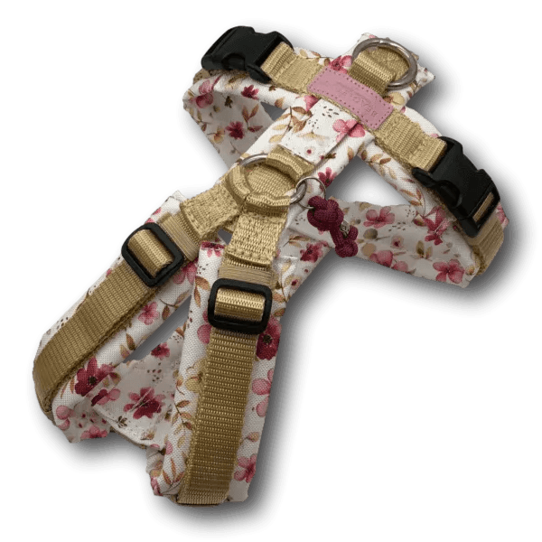 Y-Geschirr BT EasyWalk® Blütenzauber Gr. XS - Beagletuff