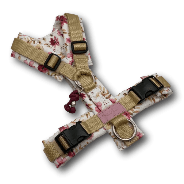 Y-Geschirr BT EasyWalk® Blütenzauber Gr. XS - Beagletuff