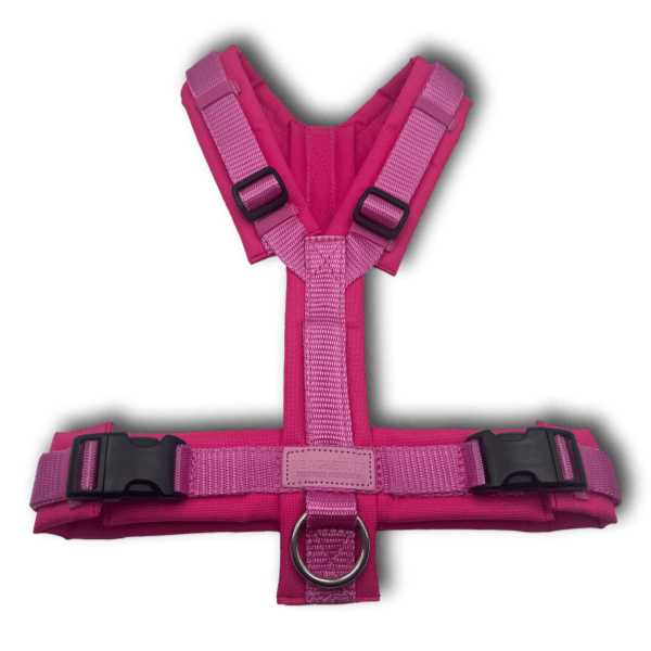 Y-Geschirr BT EasyWalk® Hot Pink - Beagletuff