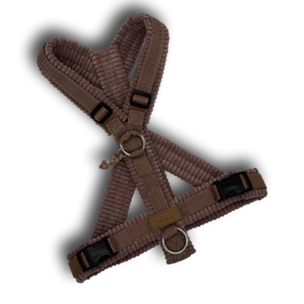 Y-Geschirr BT EasyWalk® Cord