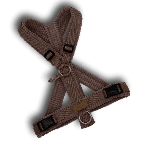 Y-Geschirr BT EasyWalk® Cord - Beagletuff