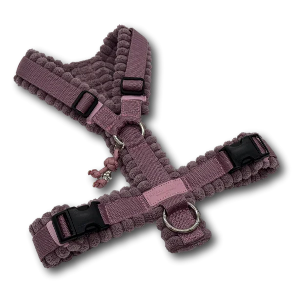 Y-Geschirr BT EasyWalk® Cord