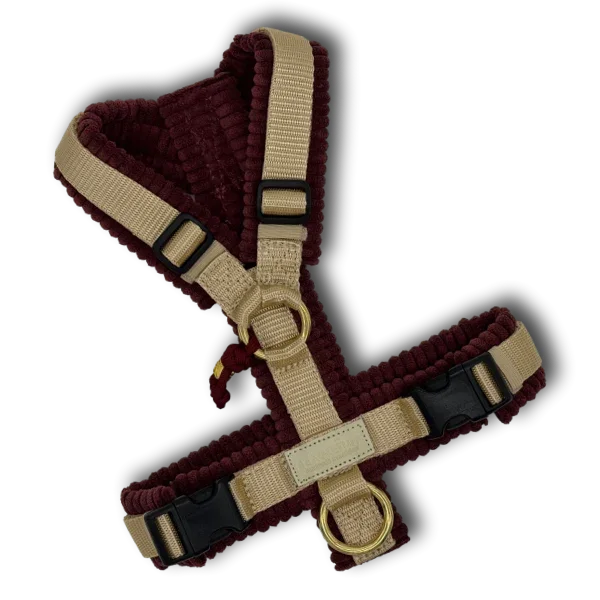 Y-Geschirr BT EasyWalk® Cord