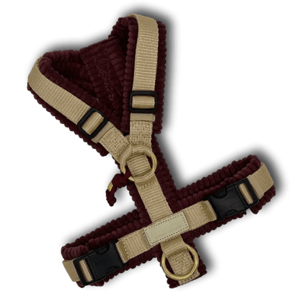 Y-Geschirr BT EasyWalk® Cord - Beagletuff