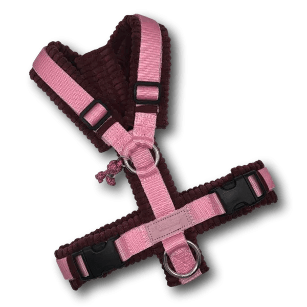 Y-Geschirr BT EasyWalk® Cord bordeaux rosa Gr. XS - Beagletuff