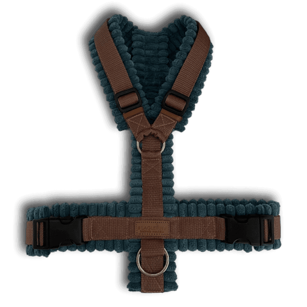 Y-Geschirr BT EasyWalk® Cord - Beagletuff