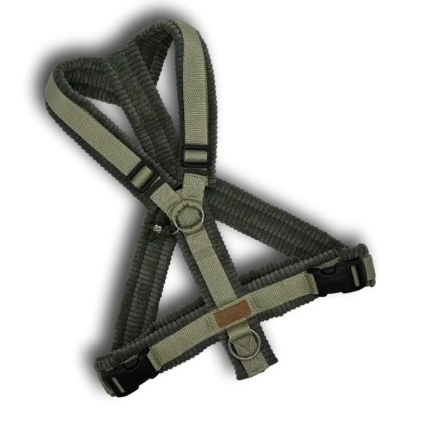 Y-Geschirr BT EasyWalk® Cord