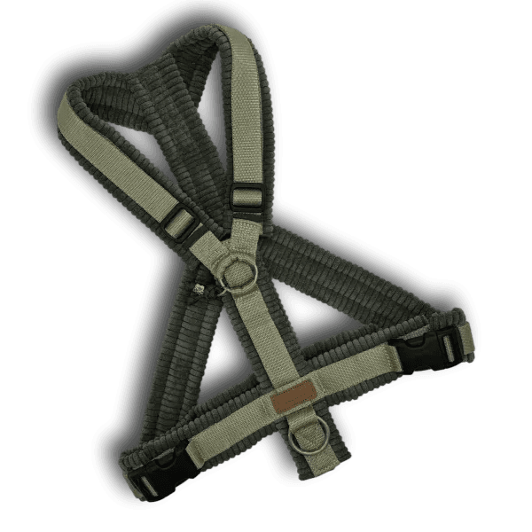 Y-Geschirr BT EasyWalk® Cord - Beagletuff