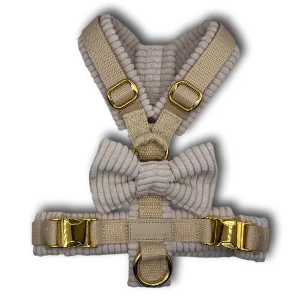 Y-Geschirr BT EasyWalk® Cord creme Gr. XS - Beagletuff