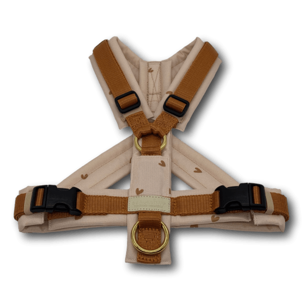 Y-Geschirr BT EasyWalk® GB curry/Herzchen beige Gr. S - Beagletuff