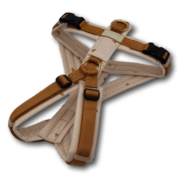 Y-Geschirr BT EasyWalk® GB curry/Herzchen beige Gr. S - Beagletuff