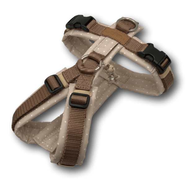 Y-Geschirr BT EasyWalk® Dotties beige Gr. XS - Beagletuff