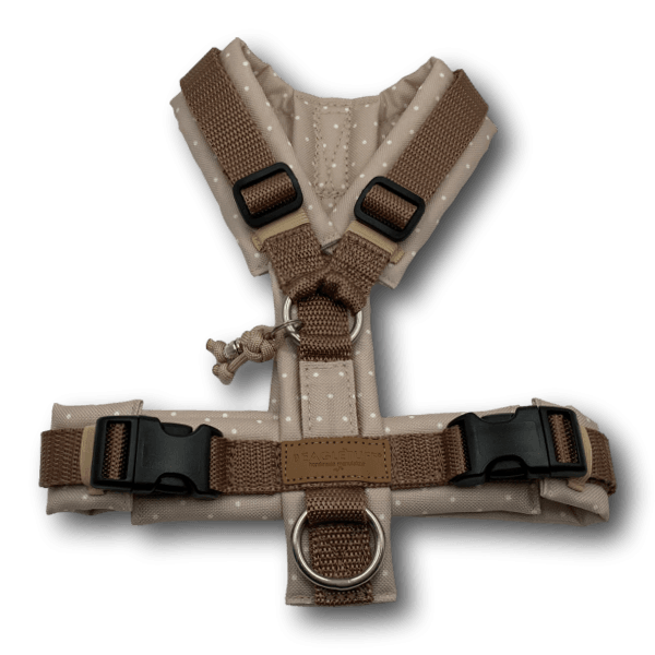 Y-Geschirr BT EasyWalk® Dotties beige Gr. XS - Beagletuff