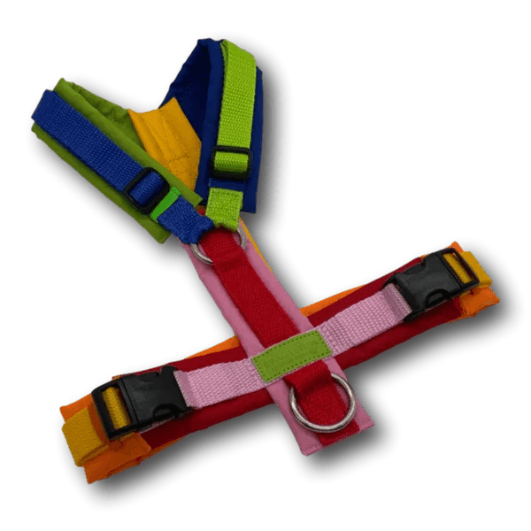 Y-Geschirr BT EasyWalk® Edition Julia Gr. S Sofortkauf Produktbild von Beagletuff