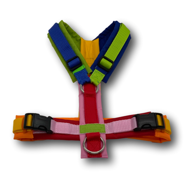 Y-Geschirr BT EasyWalk® Edition Julia Gr. S Sofortkauf