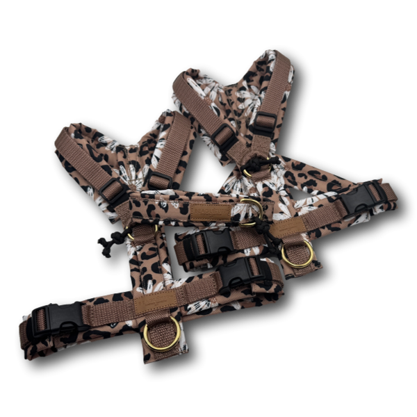 Y-Geschirr BT EasyWalk® LeoBlume