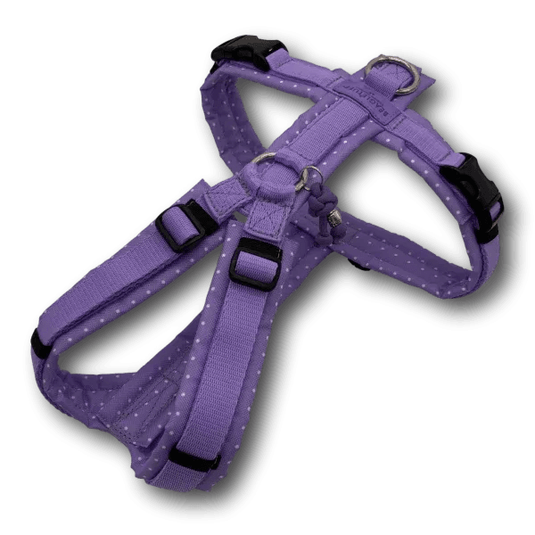 Y-Geschirr Hund BT EasyWalk® Edition Dots flieder in lila mit Punktedesign und stabiler Konstruktion.