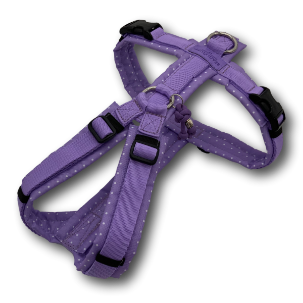 Y-Geschirr BT EasyWalk® Edition Dots flieder