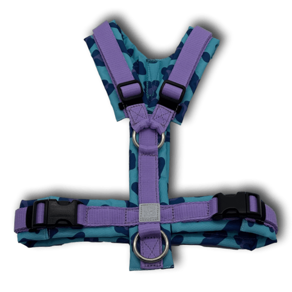 BT EasyWalk® Y-Geschirr in Lilac Harmony mit lila Gurtband und blauem Polster mit dunklen Herzmustern, voll gepolstert und verstellbar mit s