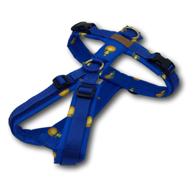 Y-Geschirr BT EasyWalk® Froschkönig blau Gr. S - Beagletuff