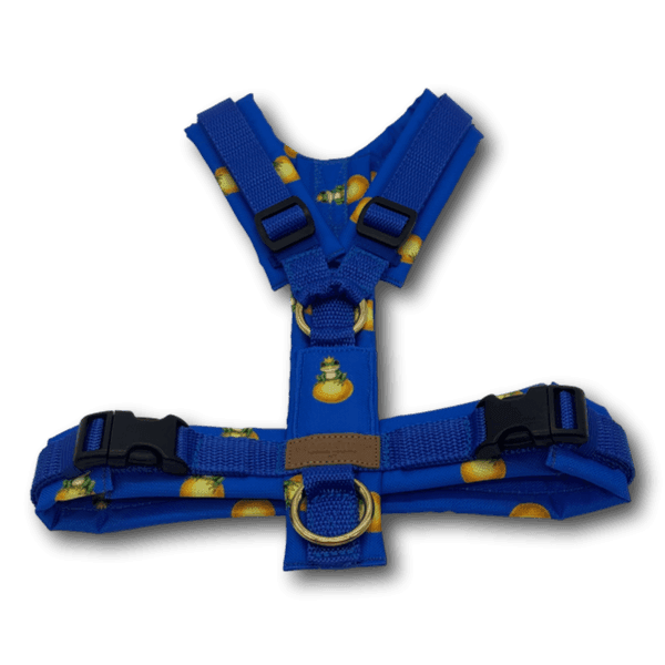 Y-Geschirr BT EasyWalk® Froschkönig blau Gr. S - Beagletuff